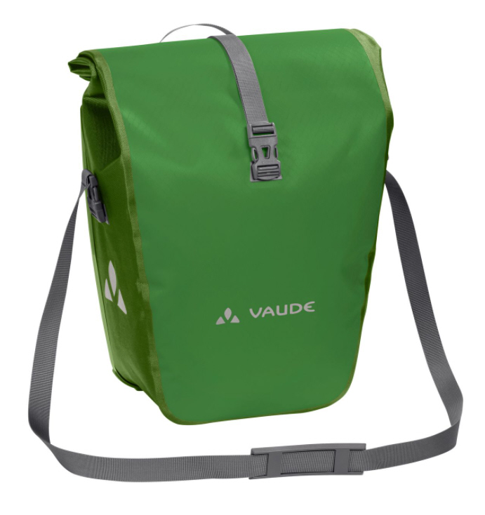 parrot green