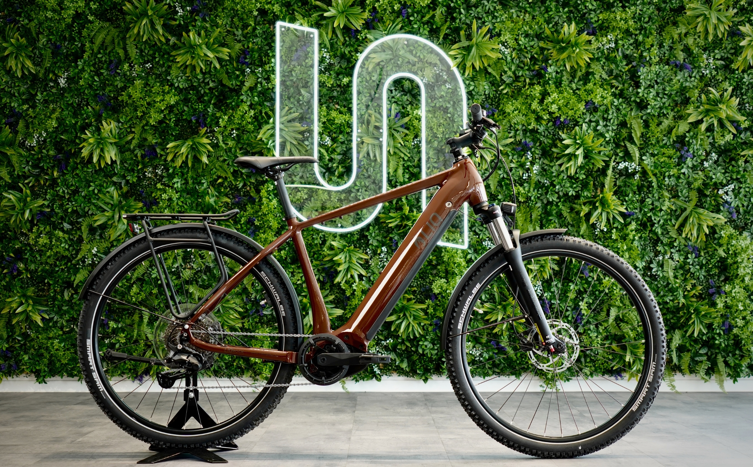 LIQRock E-MTB EQP Bosch Performance Line CX 500Wh LIQRock E-MTB EQP Bosch Performance Line CX 500Wh Diamant Indoor
