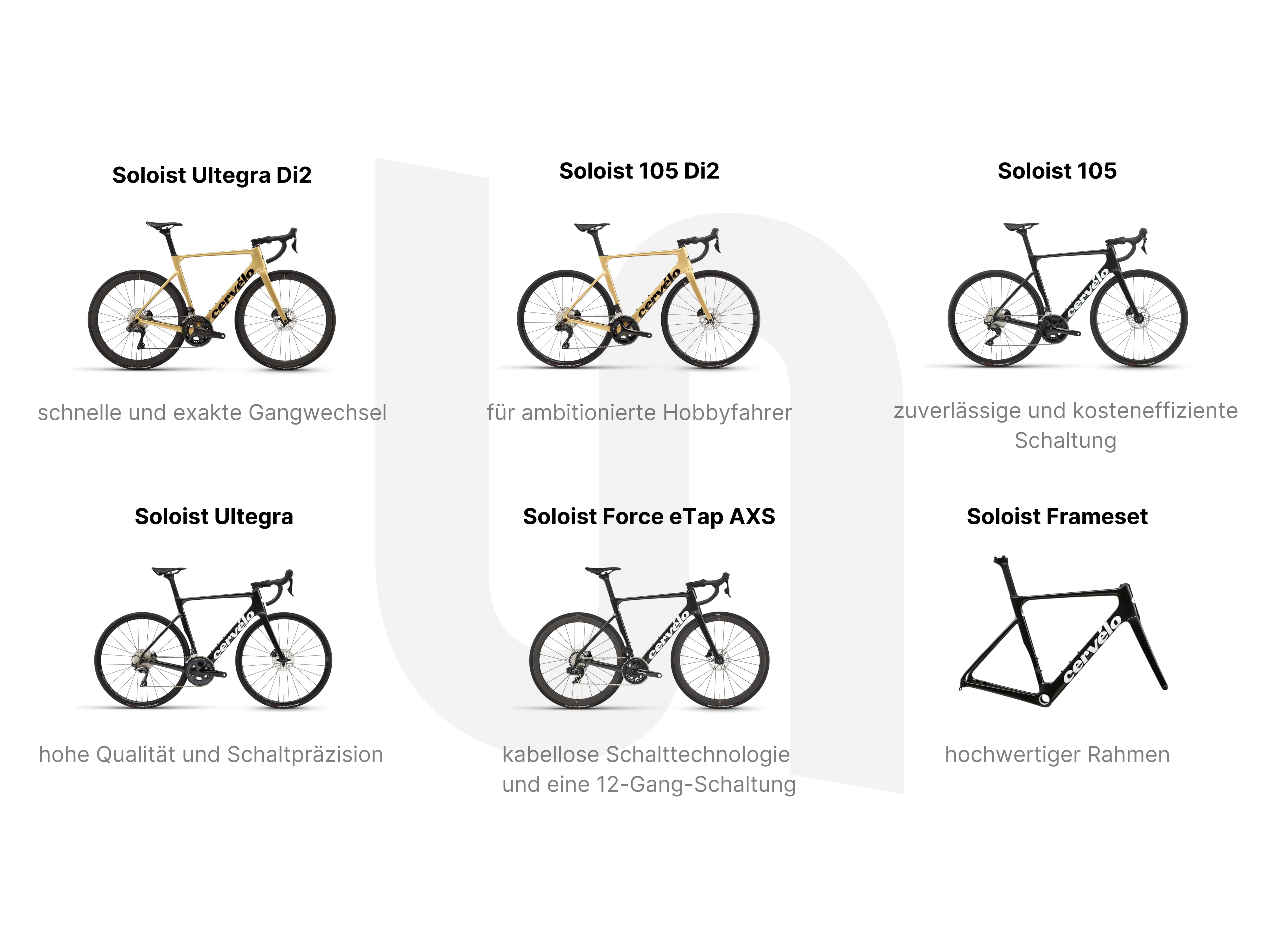 Cervélo Soloist Cervélo Soloist Ausstattungsvarianten