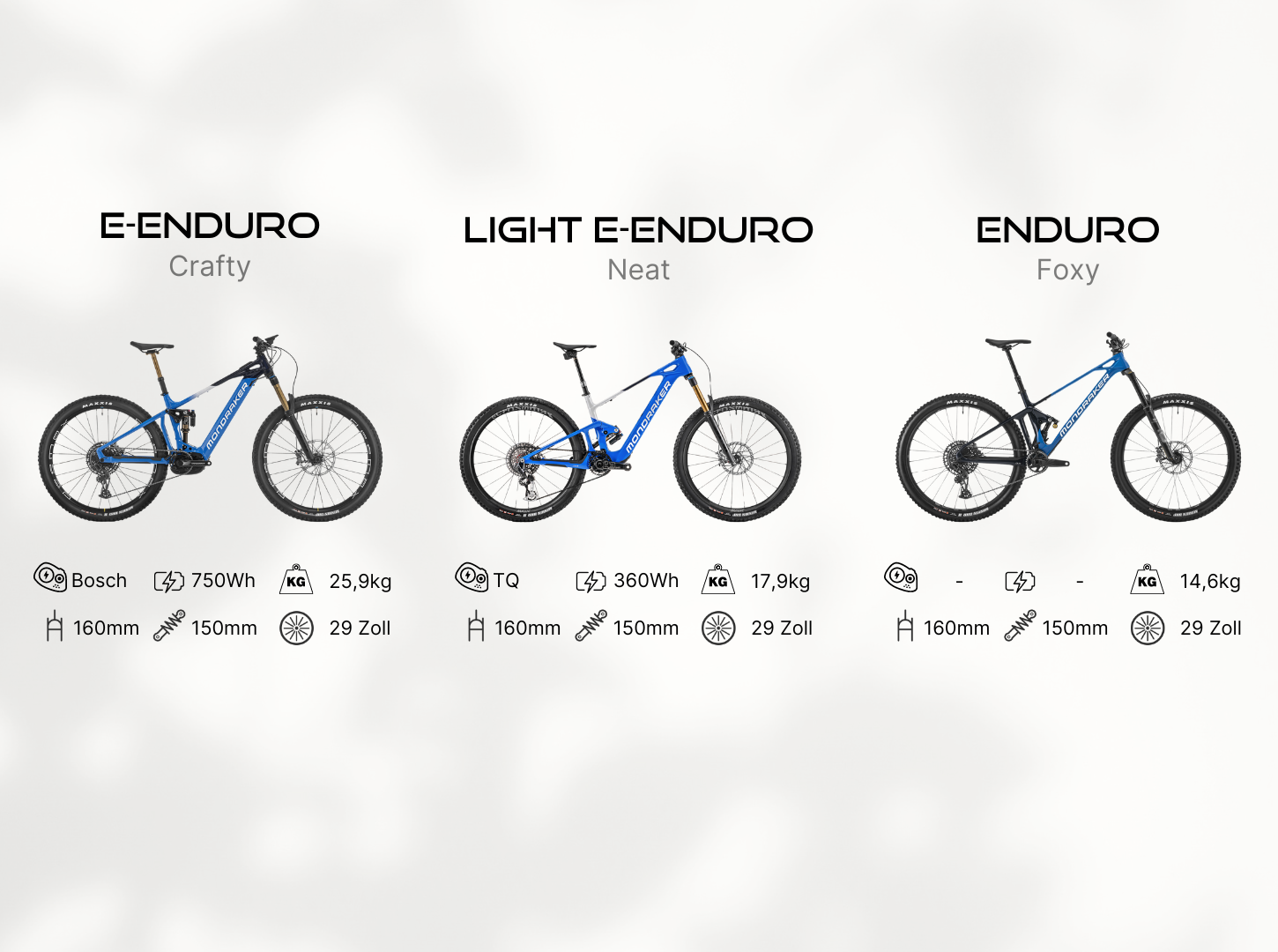 E-Enduro vs Light E-Enduro vs Enduro E-Enduro vs Light E-Enduro vs Enduro mit Eigenschaften