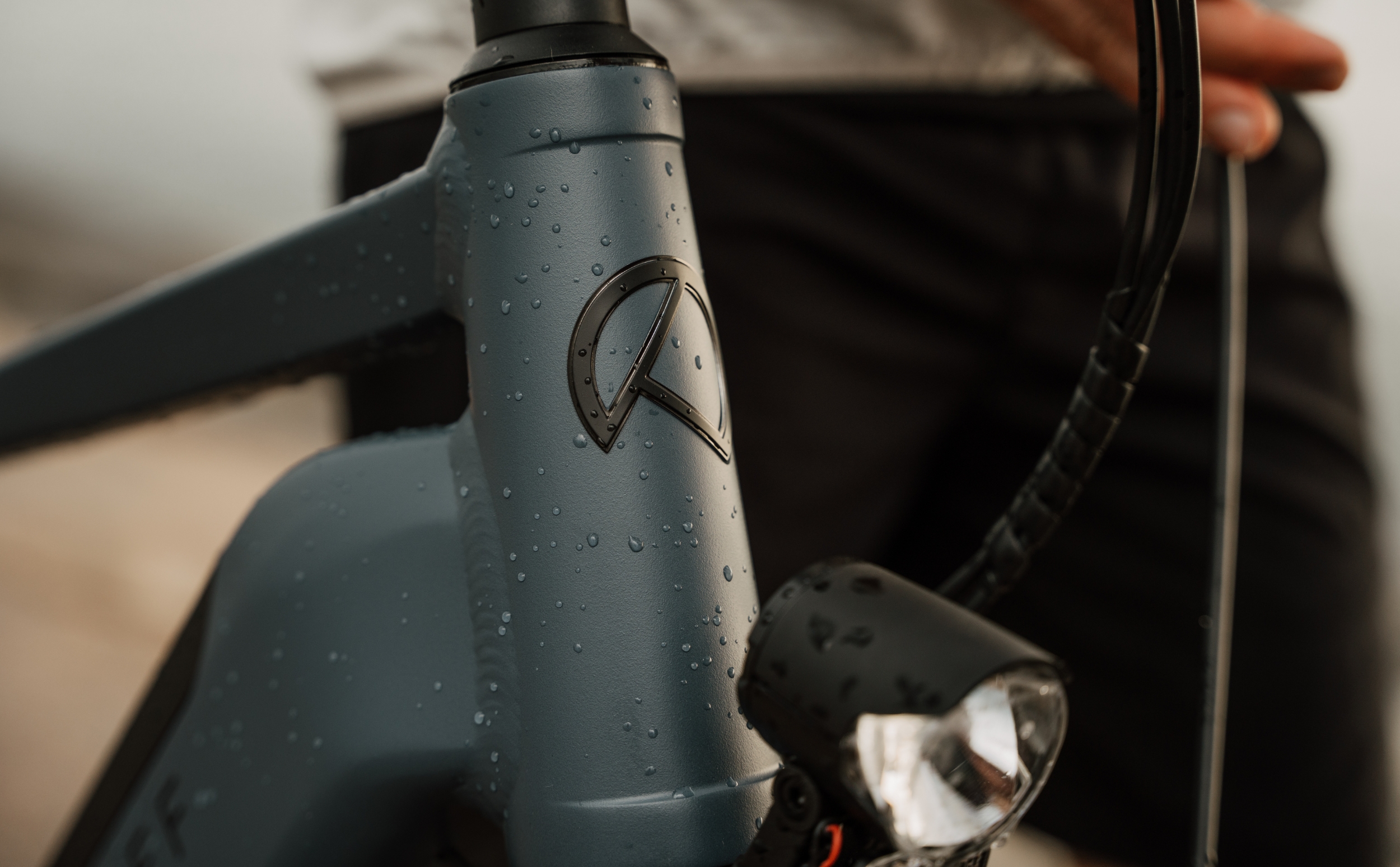 Kalkhoff Entice 5 Move + LTD Bosch Performance CX 625Wh Diamant Kalkhoff Entice 5 Move + LTD Bosch Performance CX 625Wh Diamant 2024 Details