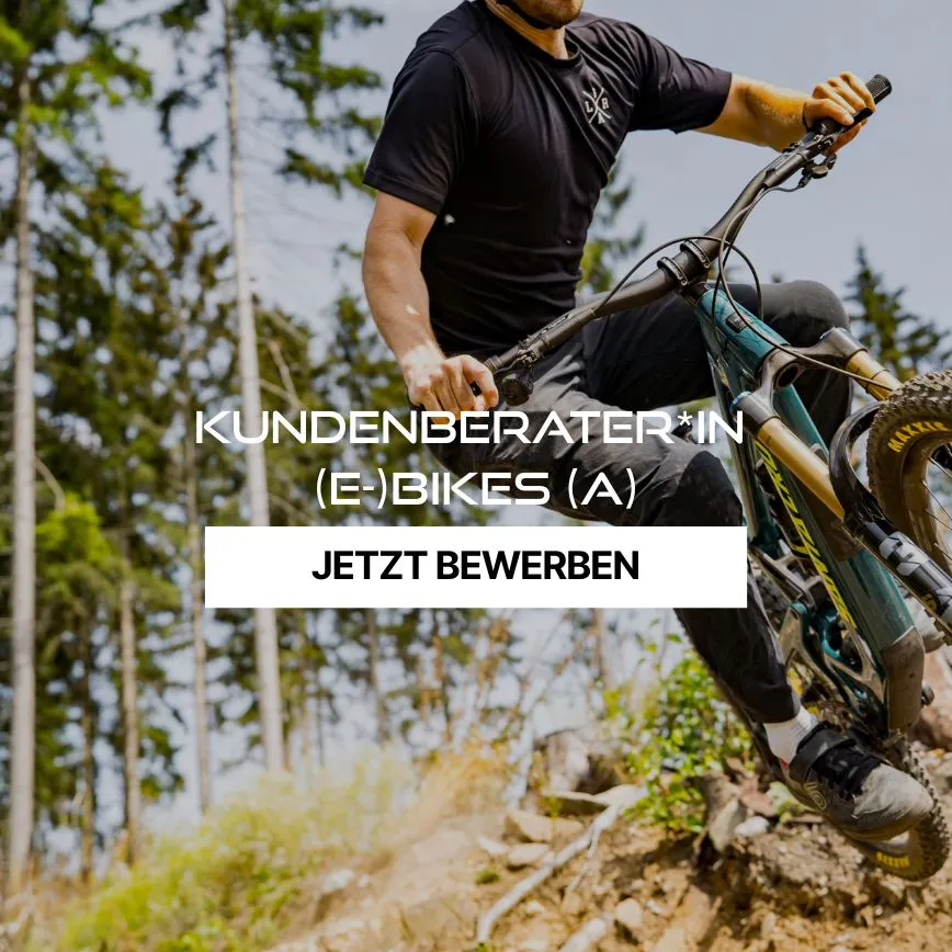 Kundenberater Bikes Action Foto