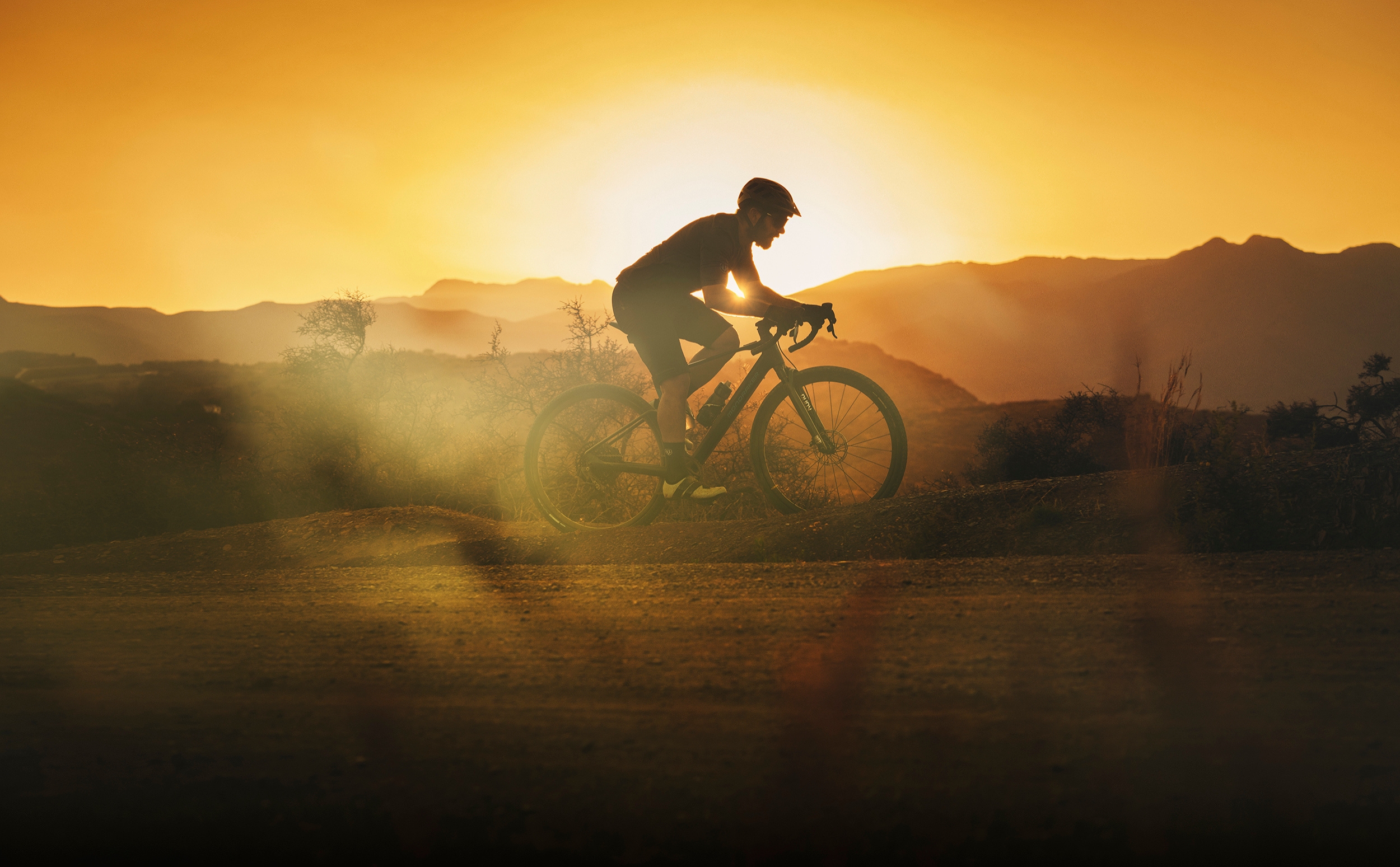 Mondraker Dusty XR Mahle X20 DriveUnit 350Wh Mondraker Dusty XR Mahle X20 DriveUnit 350Wh 2024 Actionshot