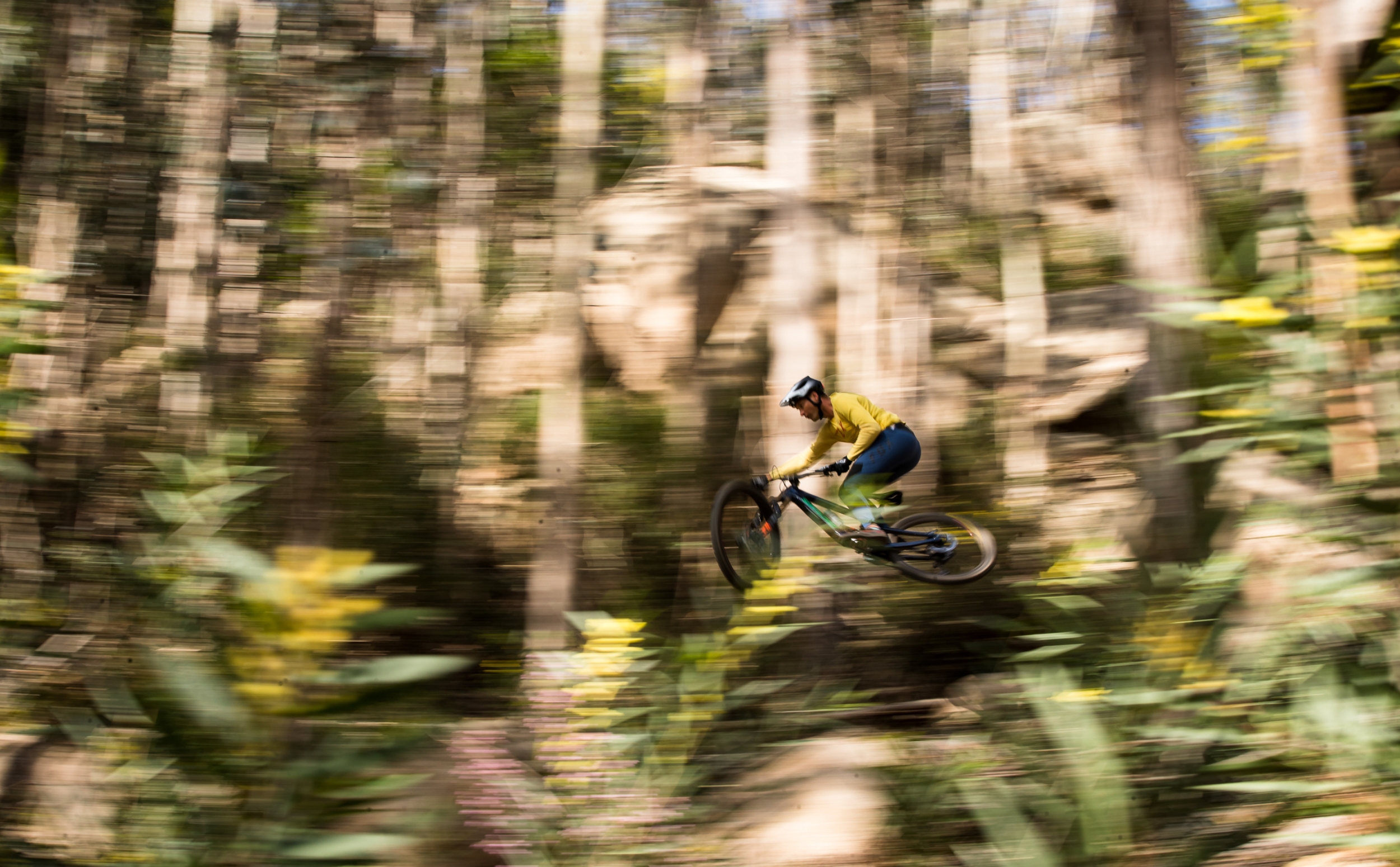 Santa Cruz Megatower 2 R-Kit Santa Cruz Megatower 2 R-Kit Actionshot