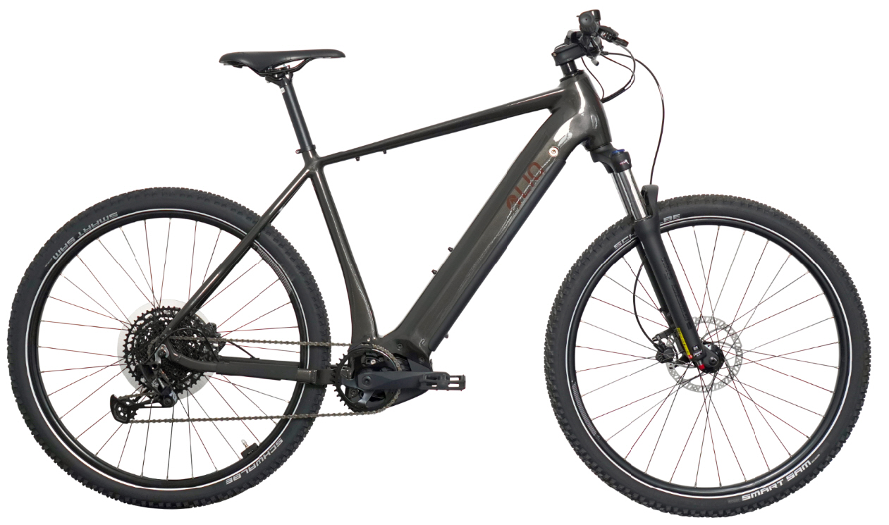 LIQROCK EMTB Performance Line CX 625Wh online kaufen
