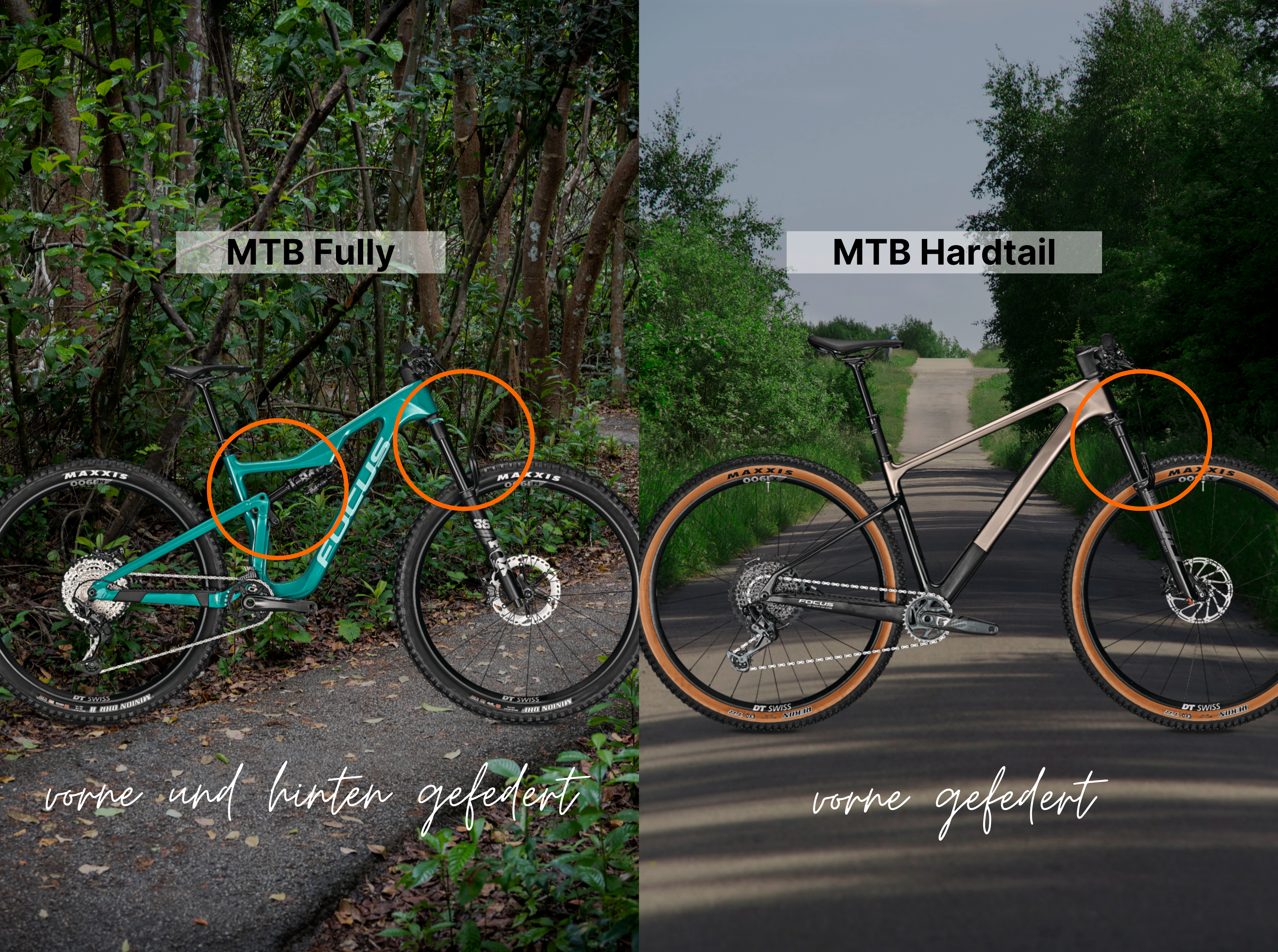 Focus Mountainbikes Focus Mountainbikes Fully vs Hardtail