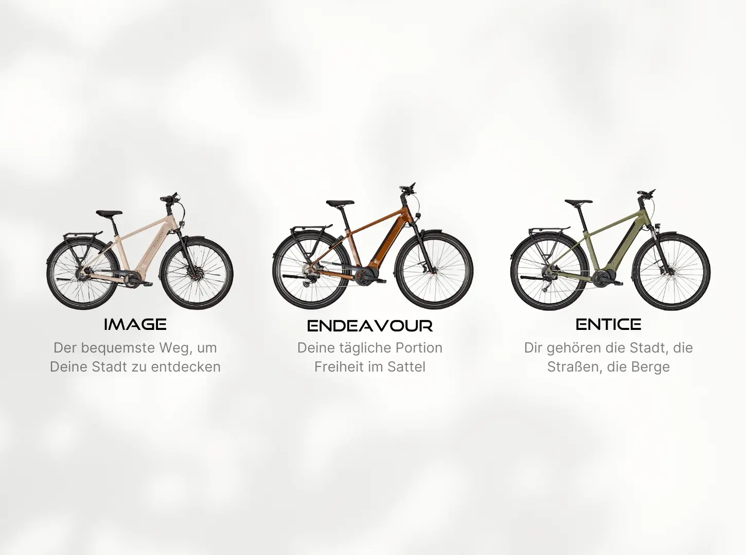 Kalkhoff E-Bike Modelle Kalkhoff E-Bike Modelle Image Endeavour Entice