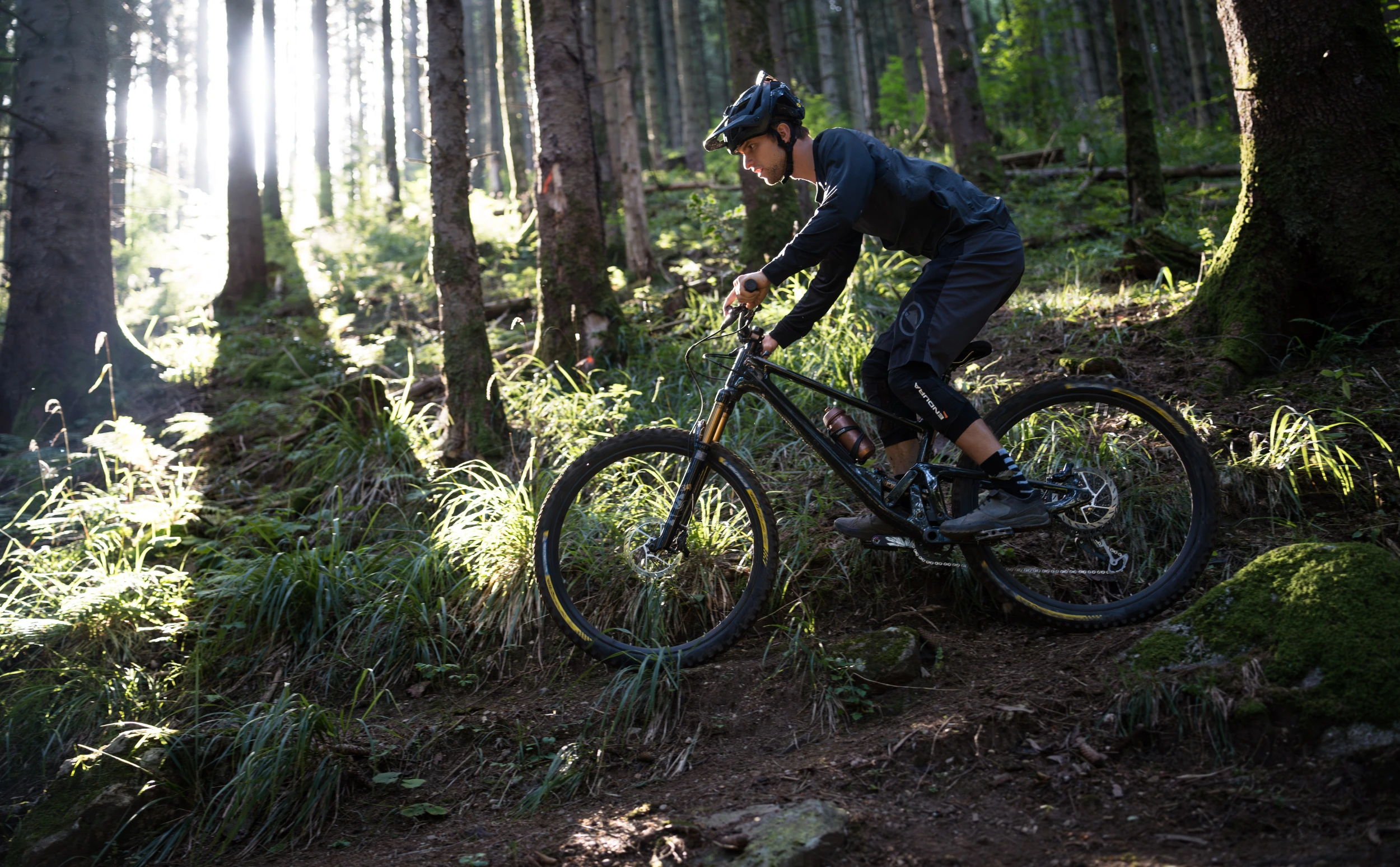 SCOR 2030 Carbon Frameset im Einsatz auf wurzelreichem Trail im morgendlichen Waldlicht.