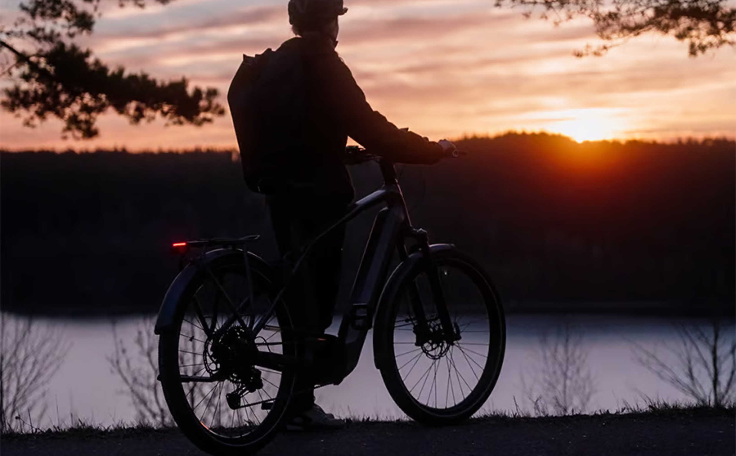 Kalkhoff Entice 5 Move + LTD Bosch Performance CX 625Wh Diamant Kalkhoff Entice 5 Move + LTD Bosch Performance CX 625Wh Diamant 2024 Lifestyle